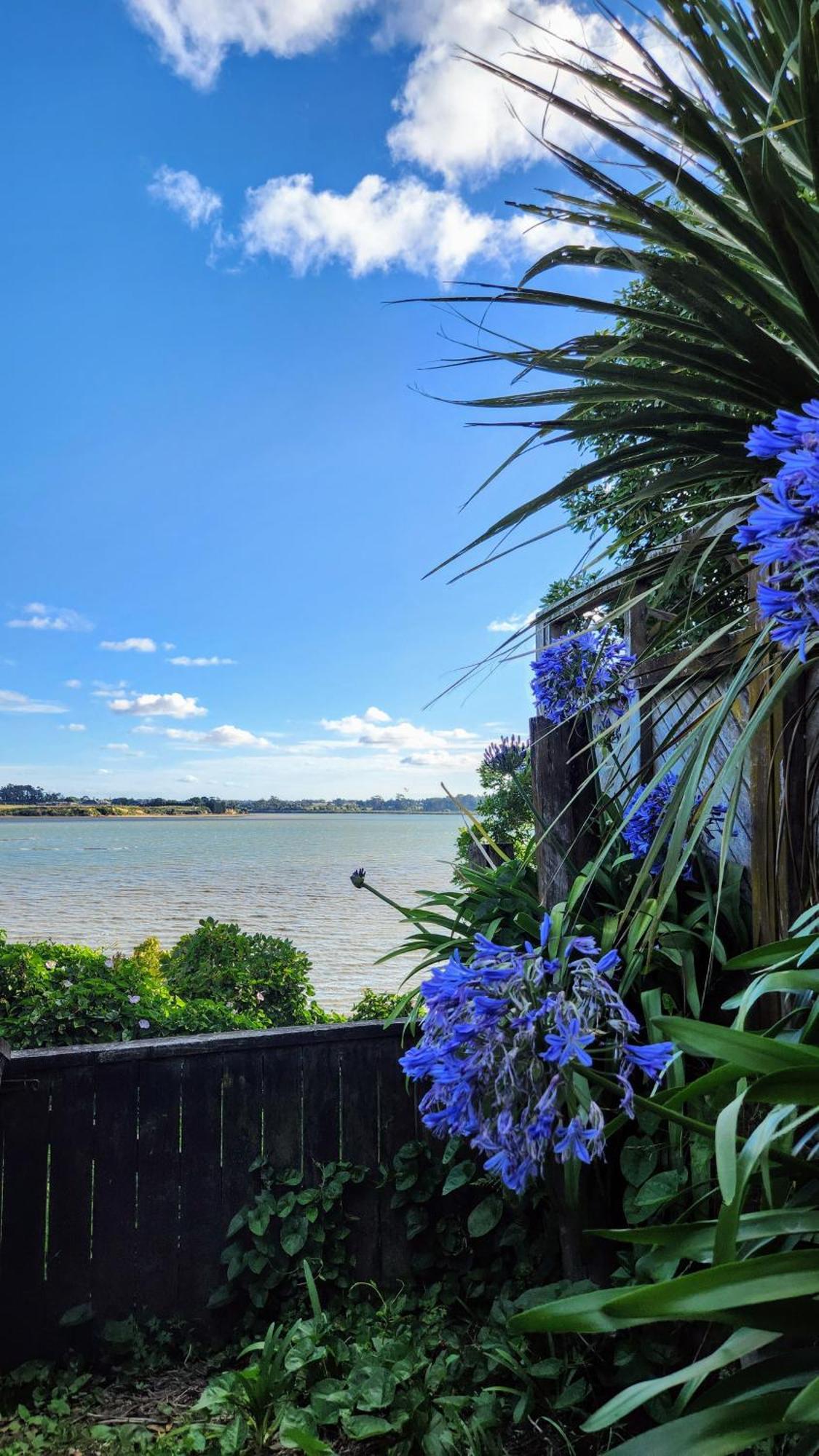 Private Guest Suite Near The Airport 1-4 Guests Auckland Extérieur photo